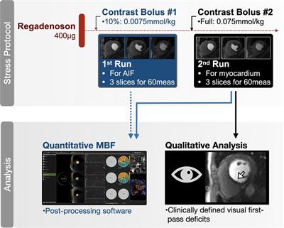 Focal and diffuse myocardial fibrosis both contribute to regional hypoperfusion assessed by post-processing quantitative-perfusion MRI techniques
